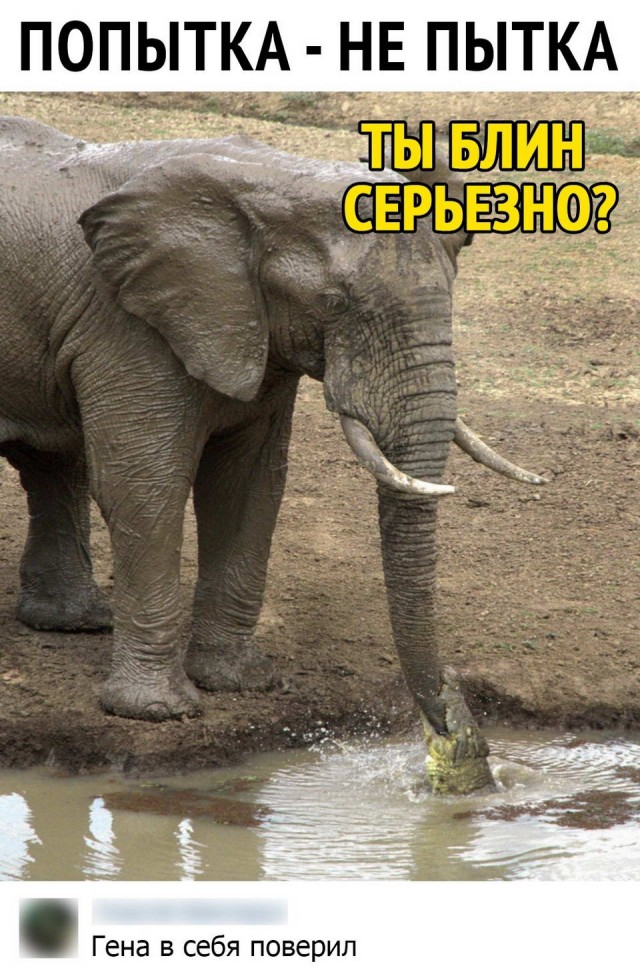 Картинки и мемы для настроения 16.06.2021