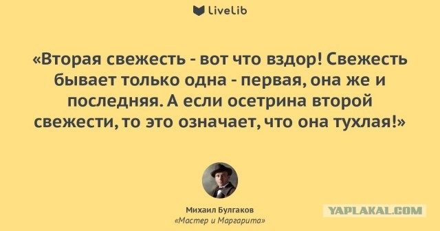 Маркетинг от Токио-City