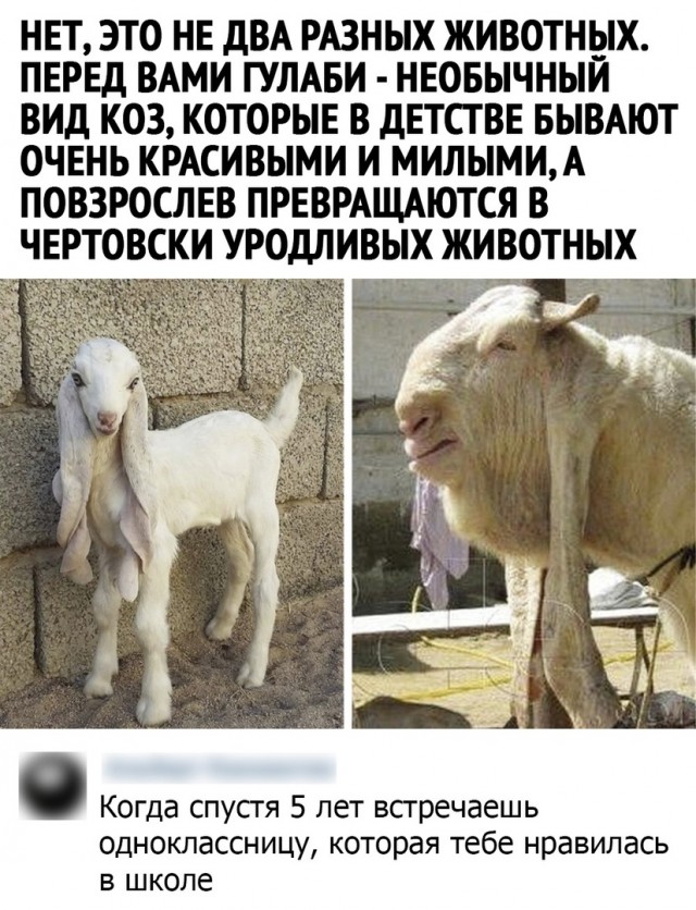 Кретинизмы из сети 17.07.21