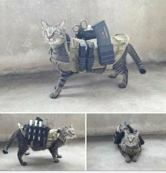 Сборы ребёнка в школу