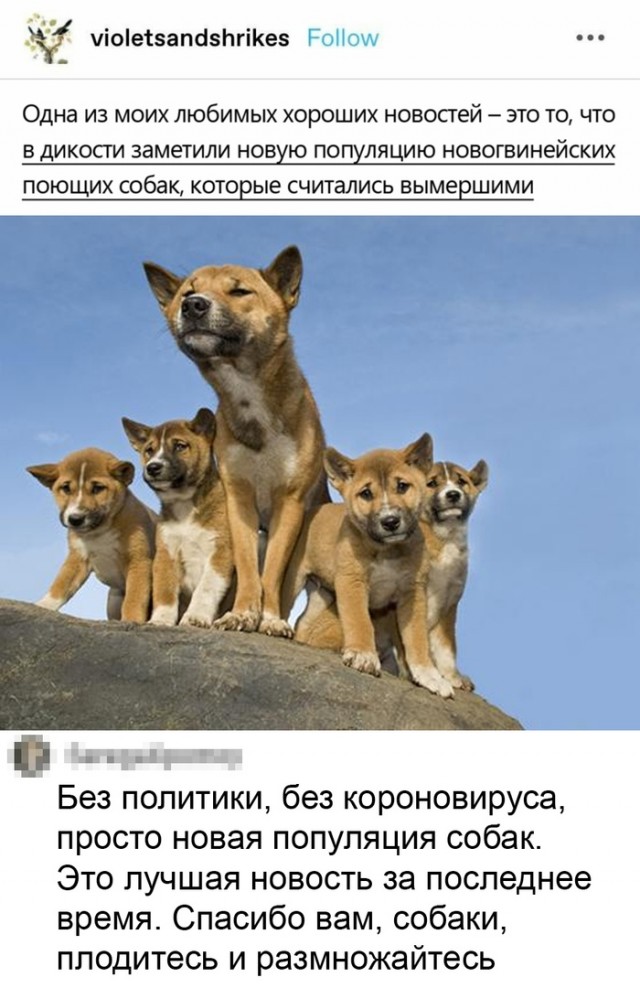 Так себе картинки 13.08.21