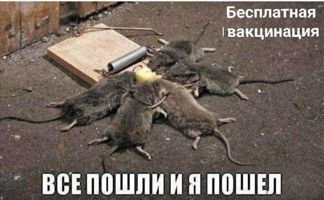 Пандемия. Коронавирус. Россия и мир. Последняя информация. Часть 24