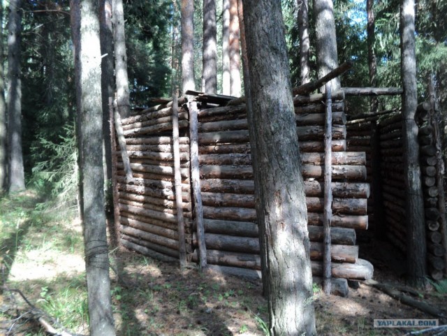 Велопоход Лето 2011. Неделя лета