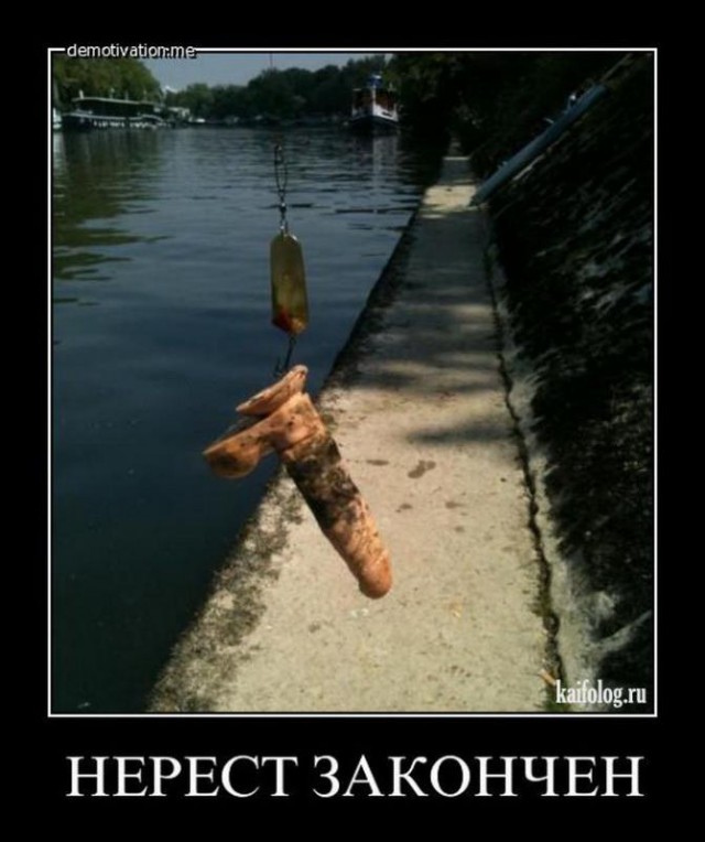 Весёлый полтишок 08.06.2022