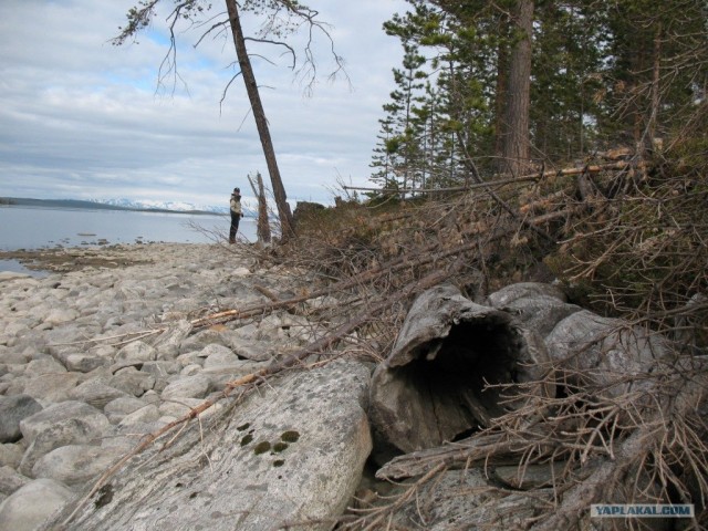 Кольский полуостров