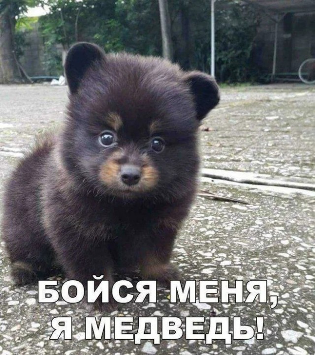 Картинки и мемы из Сети 24.07.22