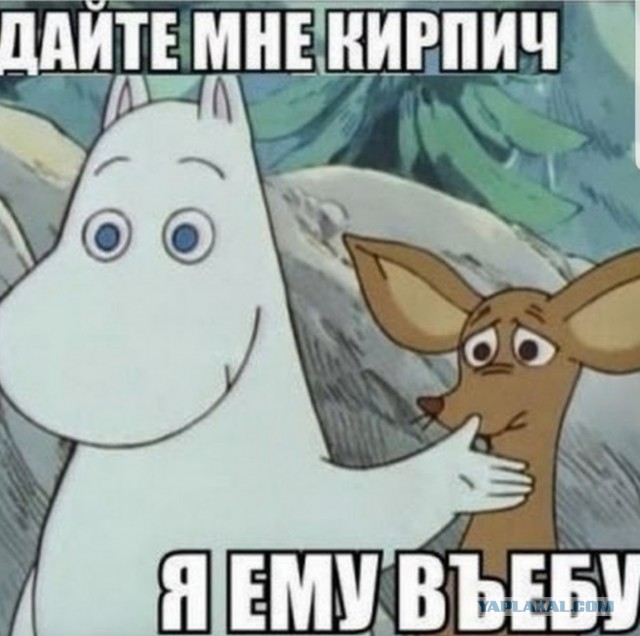 Влепил эволюшен в стену