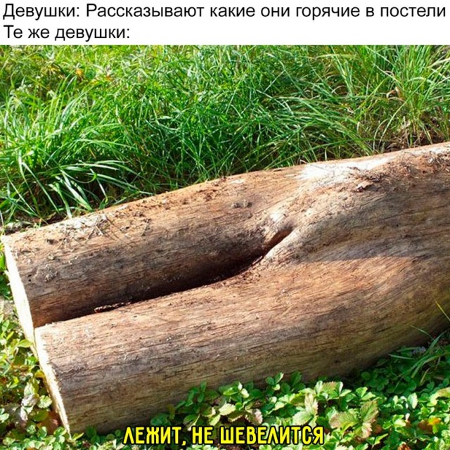 Немного картинок для настроения - 137