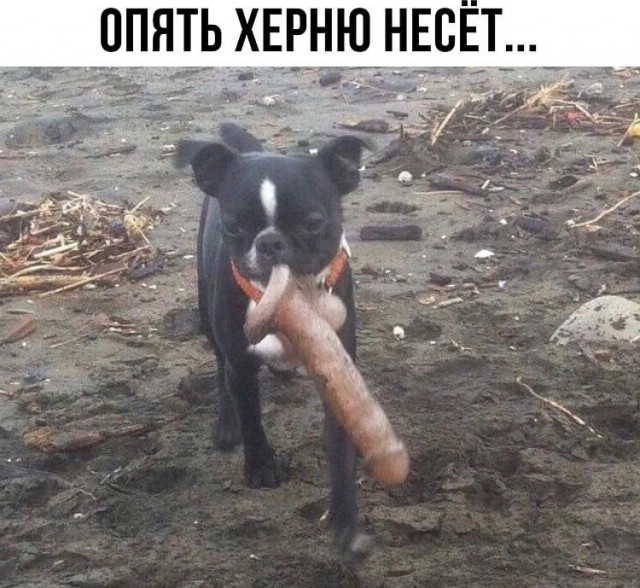 Победная поступь идиотизма по планете – том 9