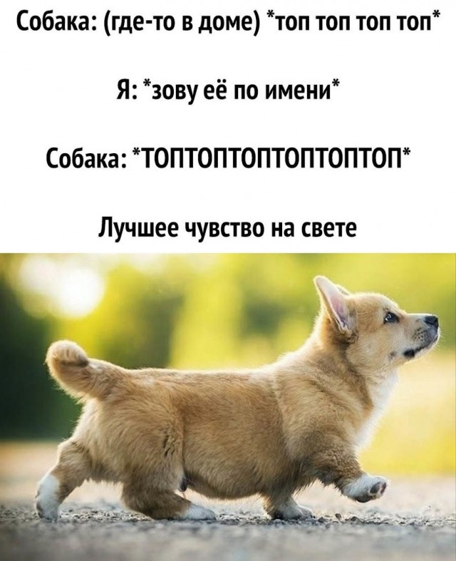 Так себе картинки 17.08.23