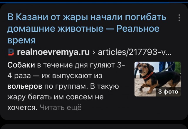 Жил был пес (в автомобиле)