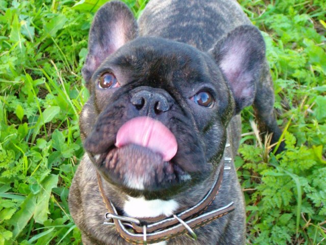 Да откройте же дверь наконец!