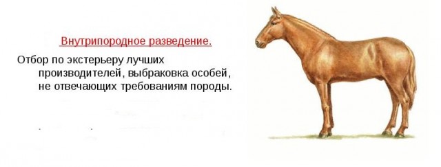 Бакалавриат — всё. С 2025 года в России такого понятия больше не будет