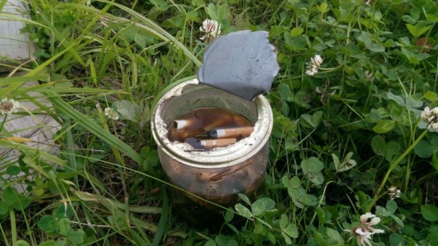 Меня назвали тупой дурой