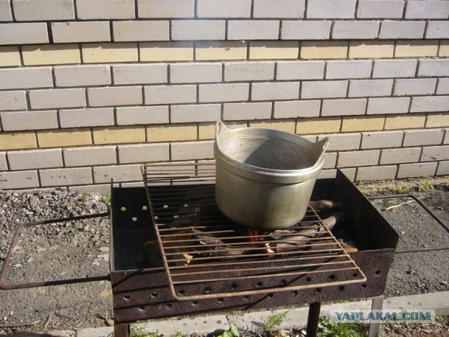 Пловские старания, ... эпическое полотно о Плове...