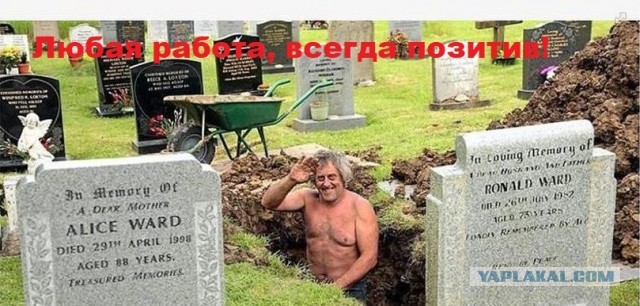 Бытовые советы к наступлению взрослой жизни от бывалых