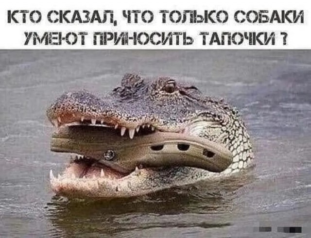 Завалялось тут случайно немного забавных картинок
