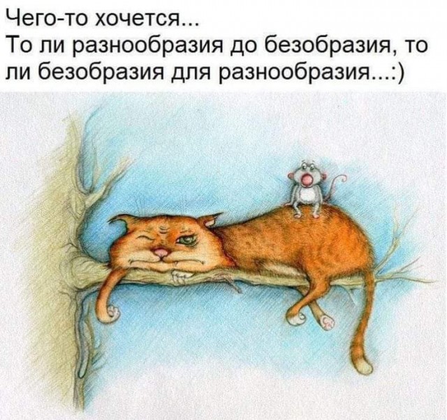 Завалялось тут случайно немного забавных картинок