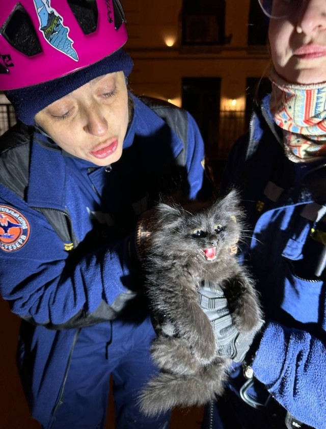 Чучело-Мяучело