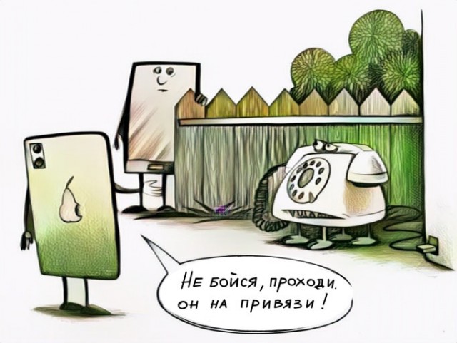 Так себе картинки 27.11.24
