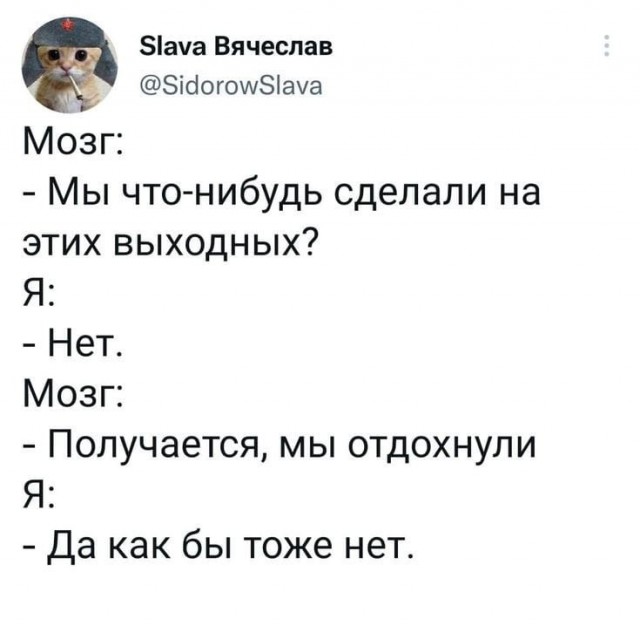 Весёлый полтишок 08.01.25