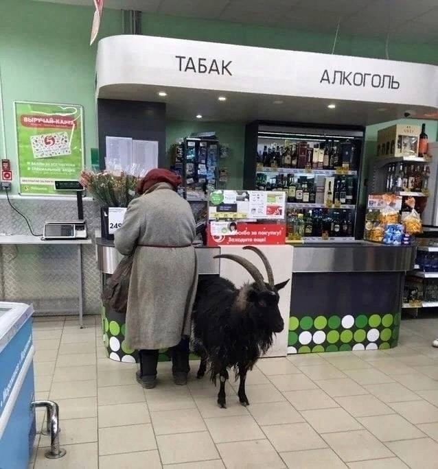 Вместе веселее