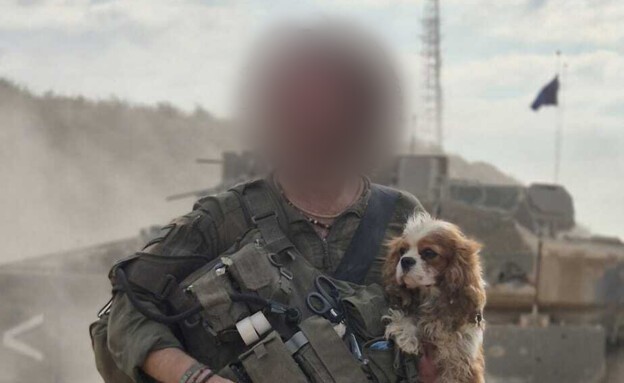 К собакочетвергу. Удивительная история возвращения Билли.