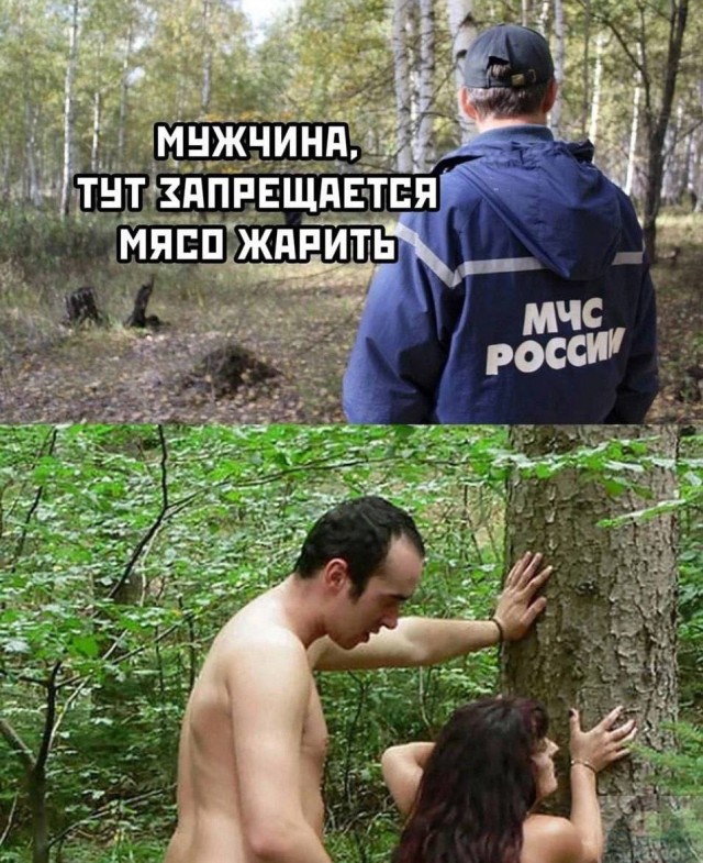 Немного забавных картинок от 14.06.2025