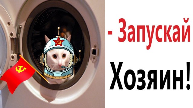 Этот кот пережил ЧАСОВУЮ стирку в машинке