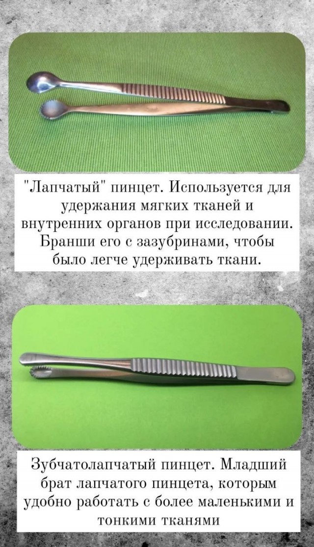 Инструменты и профессия. Судмедэксперт. Патанатом