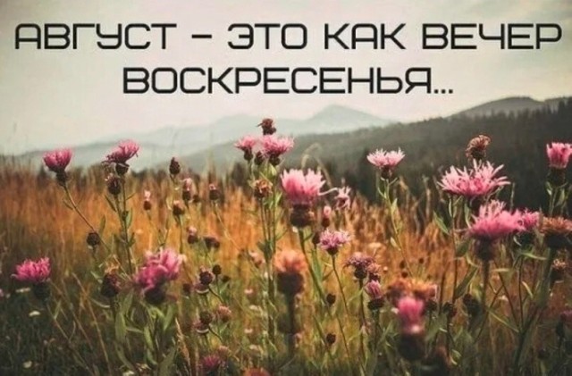 Так себе картинки 03.08.25