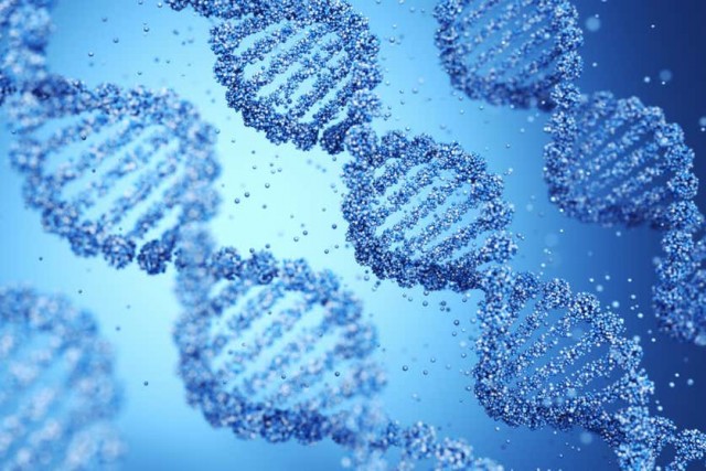 Ковид, Цифровая валюта и прочие радости. III