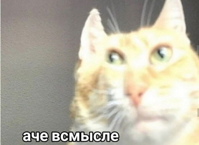 В Афганистане спасатели после землетрясения помогали только мужчинам