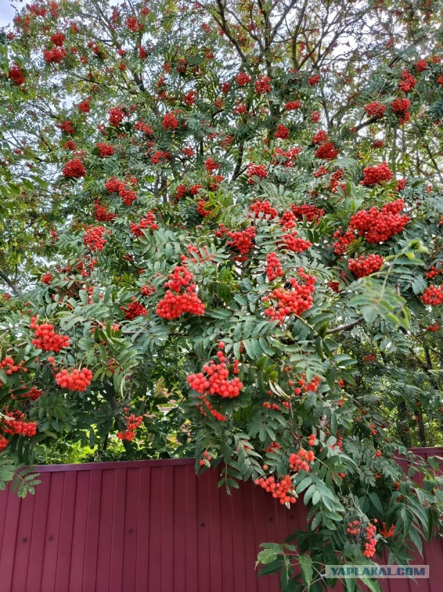 Ну и какая будет зима?