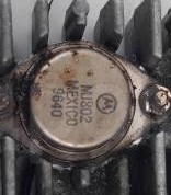 Они ещё есть в природе?