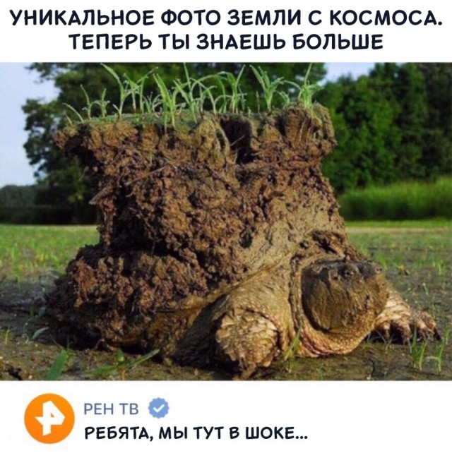 Так себе картинки 27.12.25