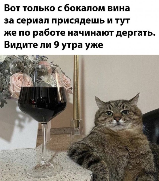 Картинки для деградации 123 (разной степени свежести)