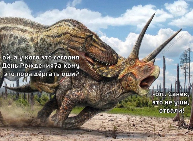 Картинки для деградации 150 (разной степени свежести)
