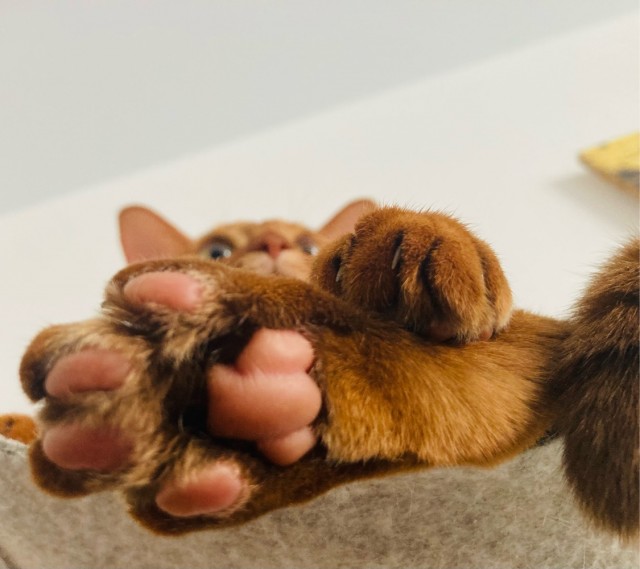 К котопятнице
