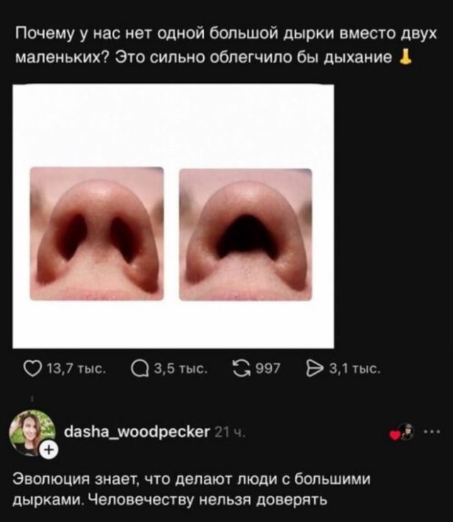 Веселые картинки в пятницу (17.07)