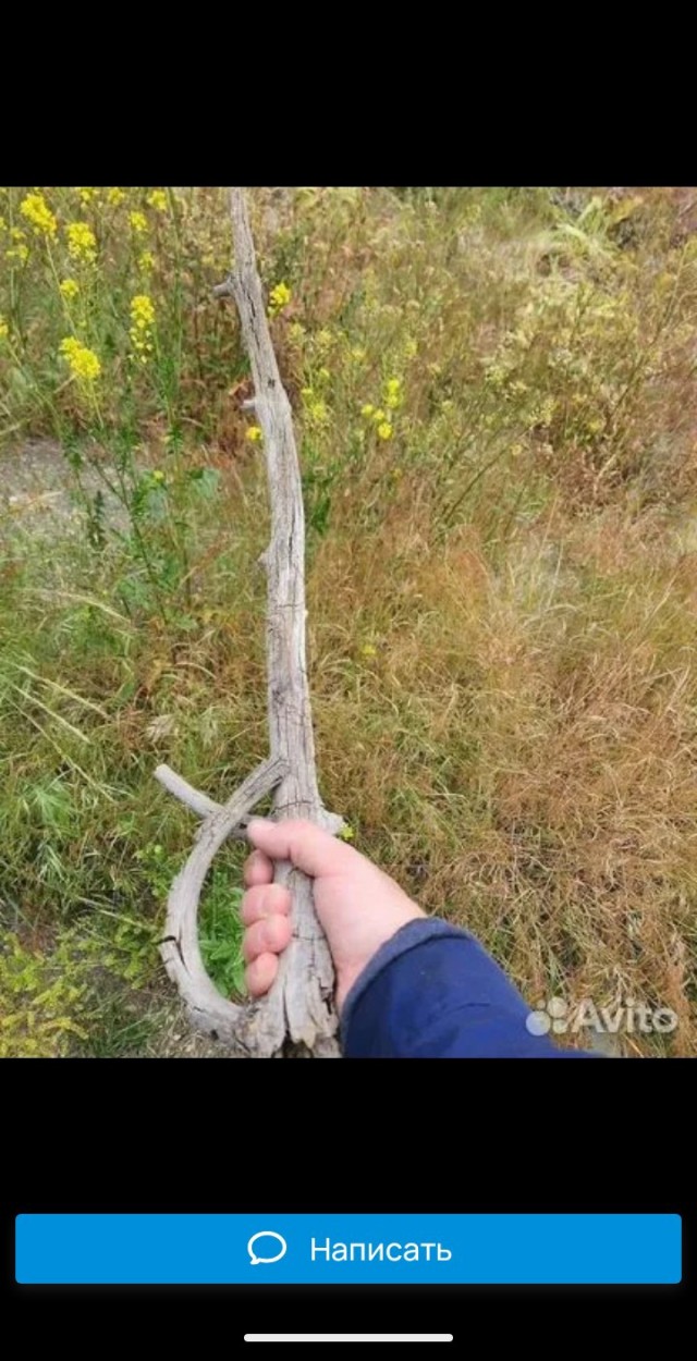 Искал медь, нашёл золото