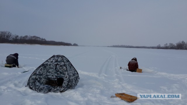 Зимняя рыбалка в Нижнекамске.