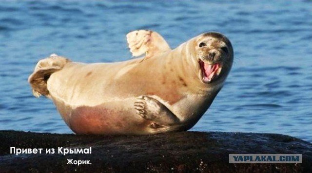 Офигенный ответ.