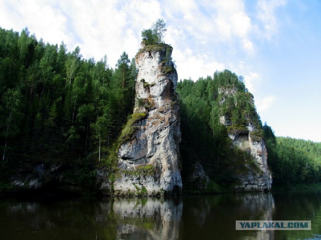 Тамбовский волк тебе товарищ...