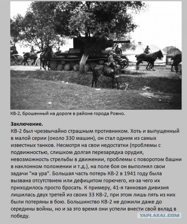 20 фактов обо всем