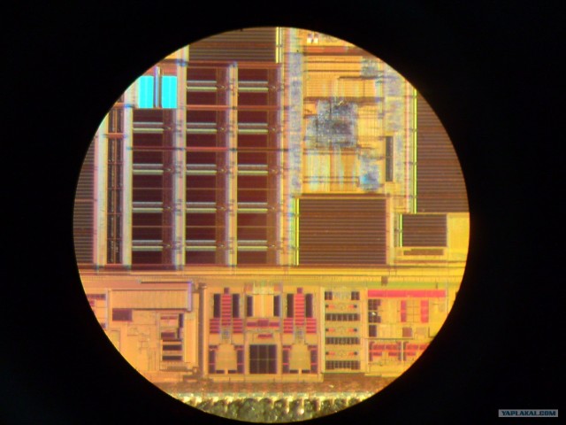 Микрофотография