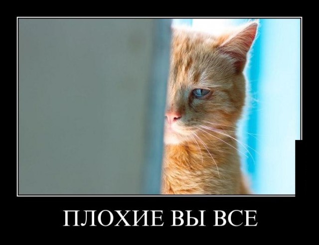 Веселые картинки на пятницу