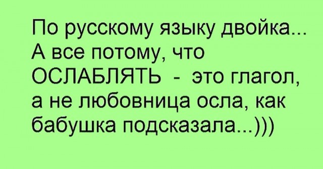 Веселости попавшиеся на сегодня