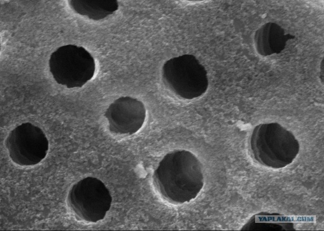 В Египте открыли некрополь Серапеум