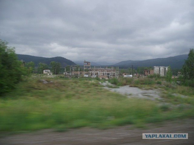 Дорога в 5500 км автостопом на Алтай.
